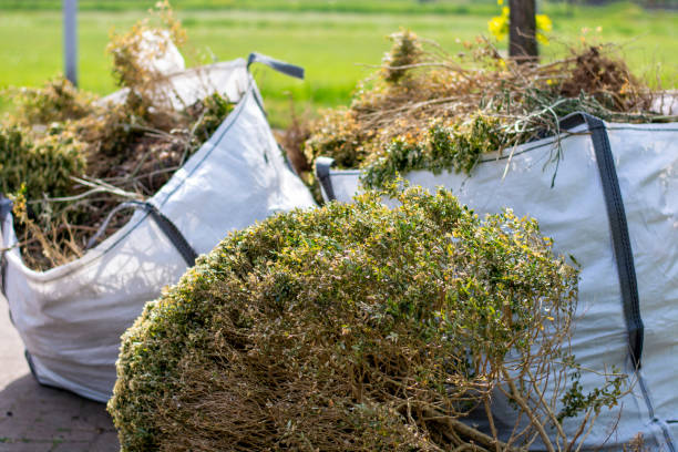 Best Office Junk Removal  in Plainview, TN
