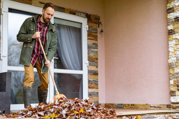 Best Yard Cleanup Services  in Plainview, TN